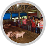 nwtf-history-sec1-image17