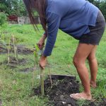 20180214_Tree Planting_Pulupandan (43)-6