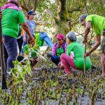 20190427_Walk to Plant (Mangrove)_Cadiz (17)-31