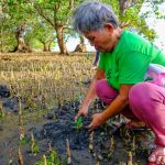20190427_Walk to Plant (Mangrove)_Cadiz (22)-32