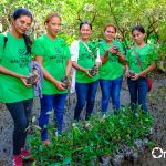 20190427_Walk to Plant (Mangrove)_Cadiz (25)-33