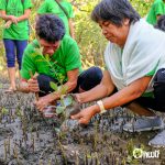 20190427_Walk to Plant (Mangrove)_Cadiz (26)-34