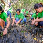20190427_Walk to Plant (Mangrove)_Cadiz (33)-36