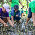 20190427_Walk to Plant (Mangrove)_Cadiz (98)-3