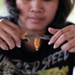 gallery-livelihood-training-28